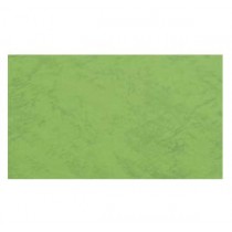 230gsm 雙面皮紋紙 A4 - 綠色 (100張裝)